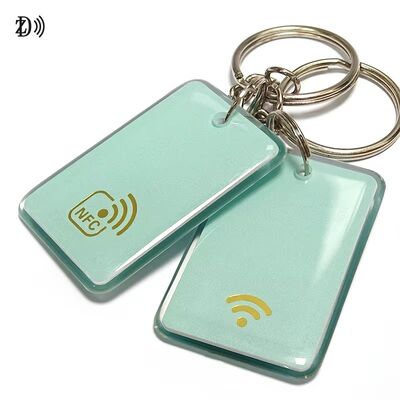 Niestandardowa karta kontroli dostępu do druku NFC 13.56Mhz RFID Epoxy Tag NFC Keychain MIFARE Classic EV1 1K